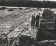 1882. Rozbudowa Huty Szkla w Gostyniu - wykop od strony polnocnej nadzoruje dyr Sobieraj (15 pazdziernika 1958 r.)