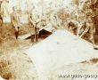 427. I Druzyna Harcerska im.T.Kosciuszki z Gostynia w lesie podrzeckim przy rozbijaniu namiotow (1917r.)