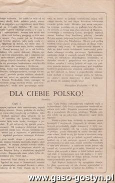 1016.Jednodniowka wydana z okazji 10-tej Rocznicy Odzyskania Niepodleglosci (Gostyn, 1928 r.)
