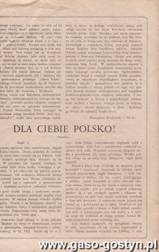 1016.Jednodniowka wydana z okazji 10-tej Rocznicy Odzyskania Niepodleglosci (Gostyn, 1928 r.)