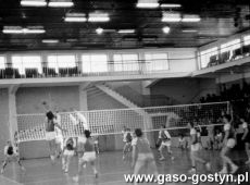 1149.Towarzyski mecz pilki siatkowej MZKS Kania Gostyn-BSG Motor Steinach (hala sportowa SP 2 w Gostyniu (1987 r.).JPG