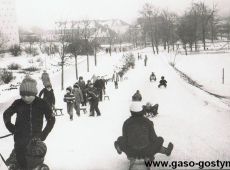 115. Uczniowie gostynskiej trojki na sankach.