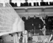 1161.Towarzyski mecz pilki siatkowej MZKS Kania Gostyn-BSG Motor Steinach (hala sportowa SP 2 w Gostyniu (1987 r.).JPG