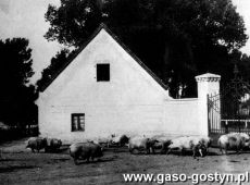 1163.Podworze w Zalesiu (widok na brame i staw od strony oficyny)