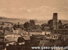 1164. Gostyn (lata 20. XX wieku)