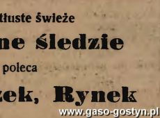 1173. Oredownik Gostynski (1930 r.)