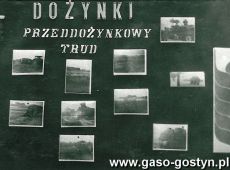 1215.Uczczenie dozynek centralych w Lesznie przez ucznow Szkoly Podstawowej nr 2 w Gostyniu (dekoracje wnetrza szkoly), 1977 r.