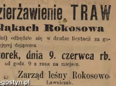 1223.Reklama z Oredownika Urzedowego Powiatu Gostynskiego (1925 r.)