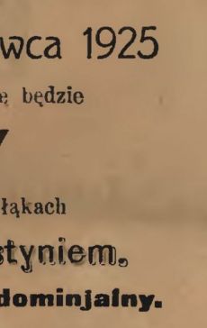 1237.Reklama z Oredownika Urzedowego Powiatu Gostynskiego (1925 r.)