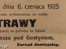 1237.Reklama z Oredownika Urzedowego Powiatu Gostynskiego (1925 r.)