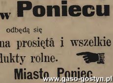 1246.Reklama z Oredownika Urzedowego Powiatu Gostynskiego (1925 r.)