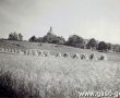 1277.Widok na Swieta Gore (lipiec 1957 r.)