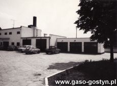 1523.Przychodnia dla zwierzat w Krobi