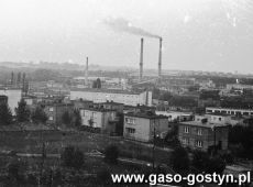 1766.Widok na Gostyn.