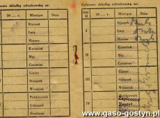 1792.Legitymacja czlonkowska Zwiazku Zawodowego Transportowcow-wydzial automobilistow w Gostyniu (1946 r.)