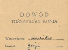 1886.Dowod tozsamosci konia (1957 r.) z hodowli Jozefa Nawrockiego ze Strzelec Malych