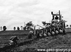 1931. III Miedzynarodowy Konkurs Orki Krajow Czlonkowskich RWPG rozegrany na terenie Kombinatu PGR Gola (1977 r.).JPG