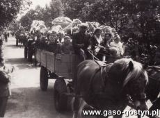 2108.Dzieci z Przedszkola nr 1 w Gostyniu w pochodzie pierwszomajowym (1 maja 1961 r.)