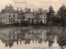 2189.Palac w Zimnowodzie (wybudowany dla Teodora Mycielskiego po 1864 r. wedlug projektu  Stanislawa Hebanowskiego)