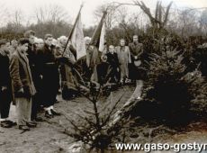 2212.Restytucja Towarzystwa Powstancow Wielkopolskich w Gostyniu - cmentarz w Gostyniu (styczen 1957 r.)