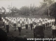2308.Pokazy gimnastyczne podczas Zlotu Towarzystwa Gimnastycznego Sokol w Gostyniu w dniu 12 czerwca 1927 roku