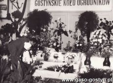 2311.Wystawa Ogrodnicza  z okazji 60-lecia Zwiazku Ogrodnikow w Gostyniu (03-05.10.1981 r.)