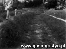 2326.Widok na Gostyn ( w oddali Liceum Ogolnoksztalcace)