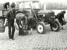 2382. Zbiorka kamieni przez mlodziez z Zasadniczej Szkoly Zawodowej w Gostyniu (1973 r.)