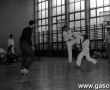 240.Turniej karate w hali sportowej Szkoly Podstawowej nr 2 w Gostyniu