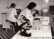 2424.Laboratorium medyczne w Gostyniu