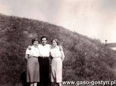 2649.Gostynianie przy Gorze Zamkowej