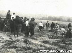 2920.Uczniowie Zasadniczej Szkoly Zawodowej na wykopkach na polu PGR (1970 r.)