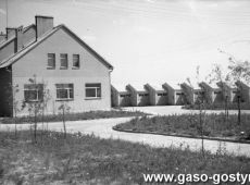 2951.Stacja Hodowli i Unasieniania Zwierzat w Gostyniu (koniec lat 70. XX wieku)