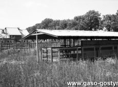2952.Stacja Hodowli i Unasieniania Zwierzat w Gostyniu (koniec lat 70. XX wieku)