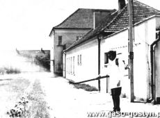 2981.Panstwowy Zaklad Weterynarii w Gostyniu