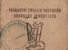 303.Legitymacja czlonkowska Poznanskiego Zwiazku Hodowcow Drobnego Inwentarza - Gostyn 1958r.