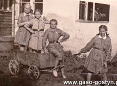 3063.Harcerki z Gostynia na obozie w  Trzebieszowicach  (1949 r.)