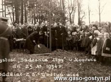 3102. Sadzenie lipy jako pomnika w dwudziesta rocznice wymarszu Kadrowki - Kosowo, 25 listopada 1934 r..JPG