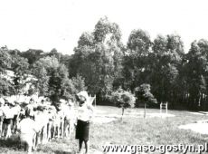 3139.Zawody sportowe w Przedszkolu nr 4 w Gostyniu (01.06.1984 r.)