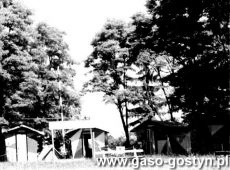 3183.Osrodek campingowy pracownikow PSS Gostyn w Osiecznej (1961 r.)