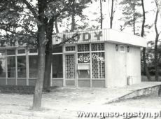 3194.Dania z rozna i lody wloskie, czyli kultowy lokal na Placu Karola Marcinkowskiego w Gostyniu powstaly w 1974 roku w drodze inwestycji Spolem WSS Poznan Oddzial Gostyn