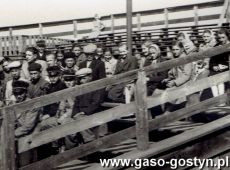 3204.Uczniowie Szkoly Podstawowej z  Sikorzyna na widowni skoczni narciarskiej w Zakopanem (30 maja 1958 r.)