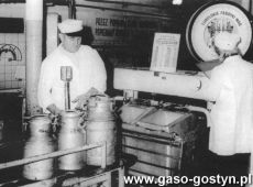 3230.Spoldzielnia Mleczarska w Gostyniu - Jan Szczepaniak przyjmuje na wage mleko surowe w konwiach (okres PRL-u)