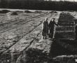3314.Rozbudowa Huty Szkla w Gostyniu, wykop od strony polnocnej (w srodku dyr Sobieraj) - 15 pazdziernika 1958 r.