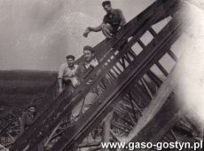 3320.Rozbudowa Huty Szkla w Gostyniu (ok. 1959 r.)