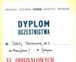 334. Dyplom uczestnictwa dla SP 3 w Gostyniu za udzial w zawodach latawcowych.