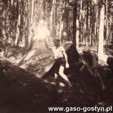 3440.Gostynscy harcerze w czasie obozu w okolicach Leby (1947 r.)