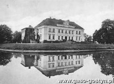 3547.Palac w Goli (poczatek XX wieku)