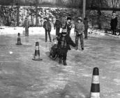 373. Lodowisko - Park Miejski w Gostyniu.