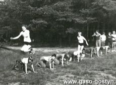 3772.Uczennice gostynskiego Liceum Ogolnoksztalcacego na obozie sportowym w Rudnie (sierpien 1979 r.)